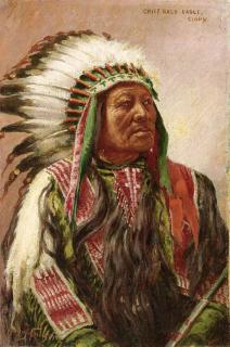 John Hauser - Chief Bald Eagle, Sioux