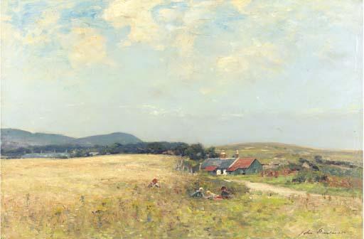 John Henderson - In the hayfields