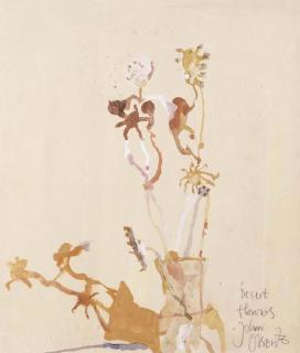 John Henry Olsen - Desert Flowers