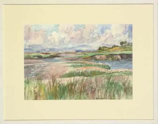 John Houston - Solway sunshine