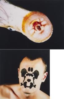 John Isaacs - The Matrix of Amnesia.