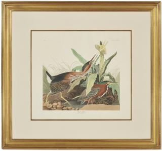 John James Audubon - Green Heron
