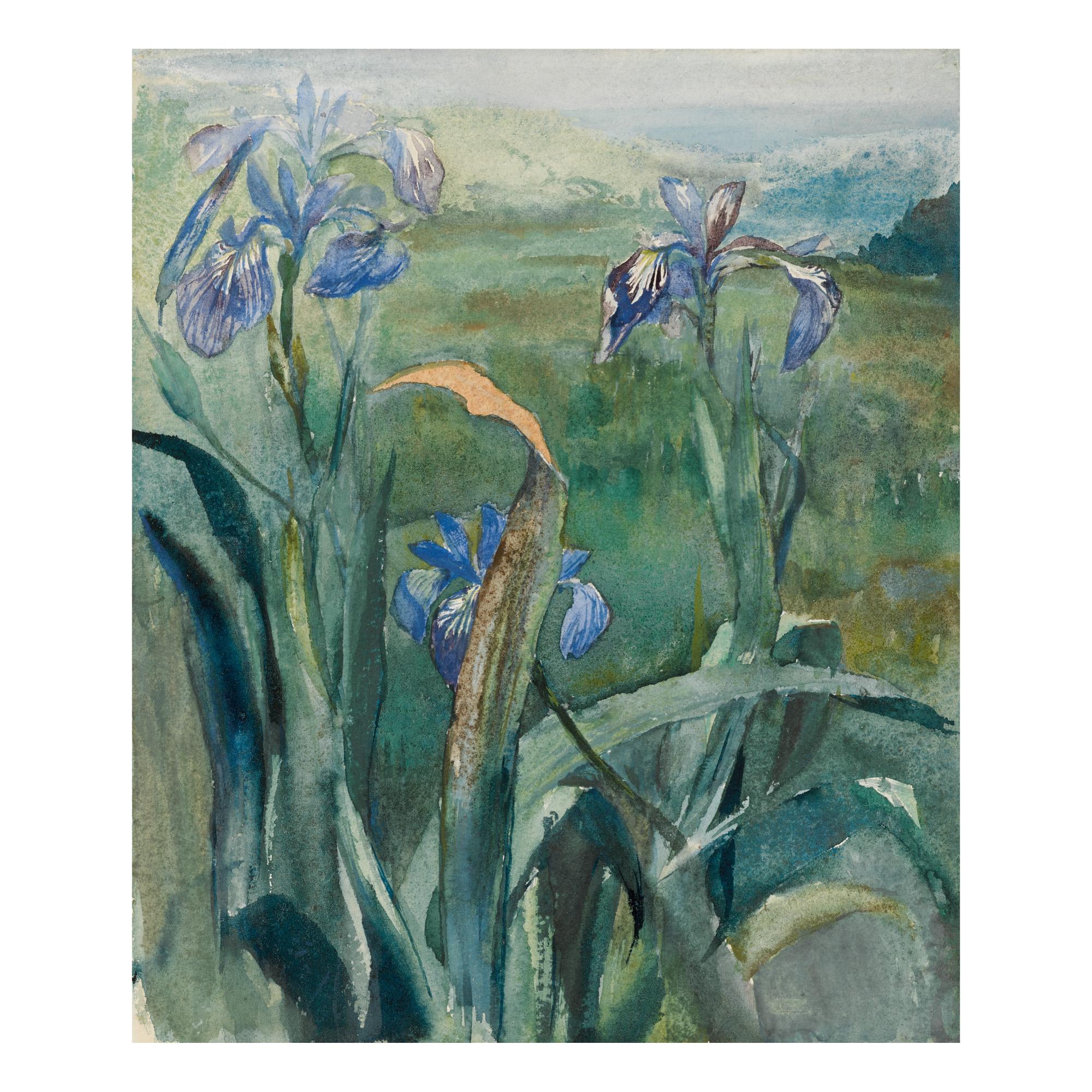 John La Farge - Blue Iris, Study