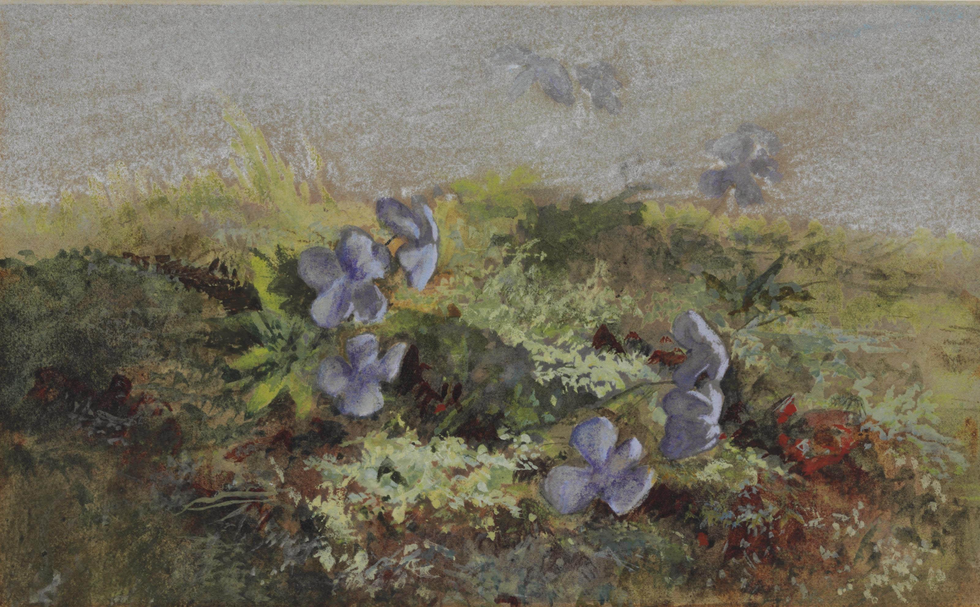 John La Farge - Violets in a Landscape