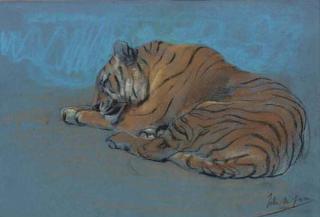 John Macallan Swann, R.A., R.W.S. - Study of a sleeping tiger