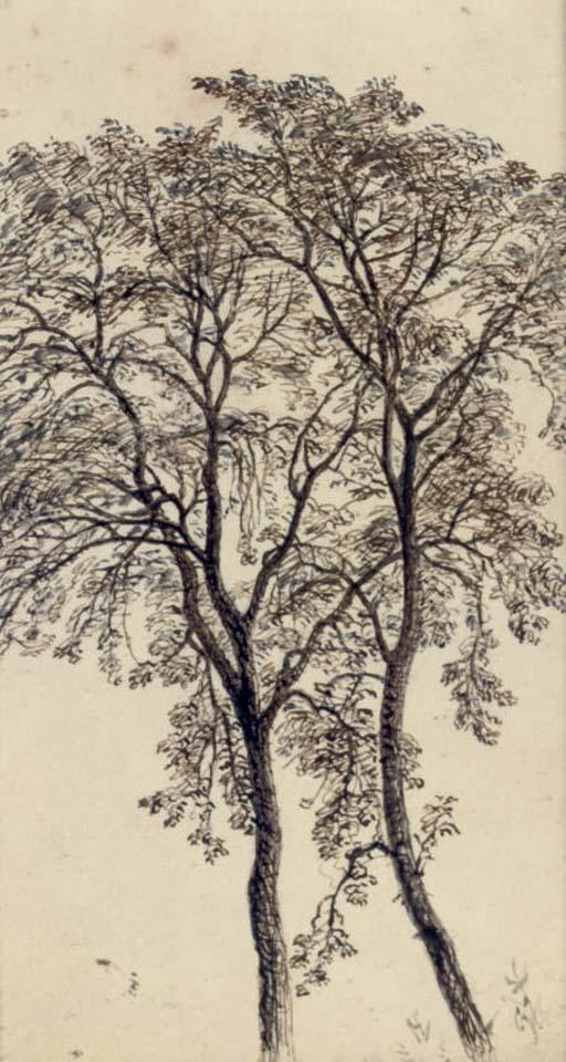 John MacWhirter, R.A., H.R.S.A., R.W.S. - Study of trees