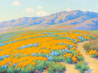 John Marshall Gamble - California Wildflowers