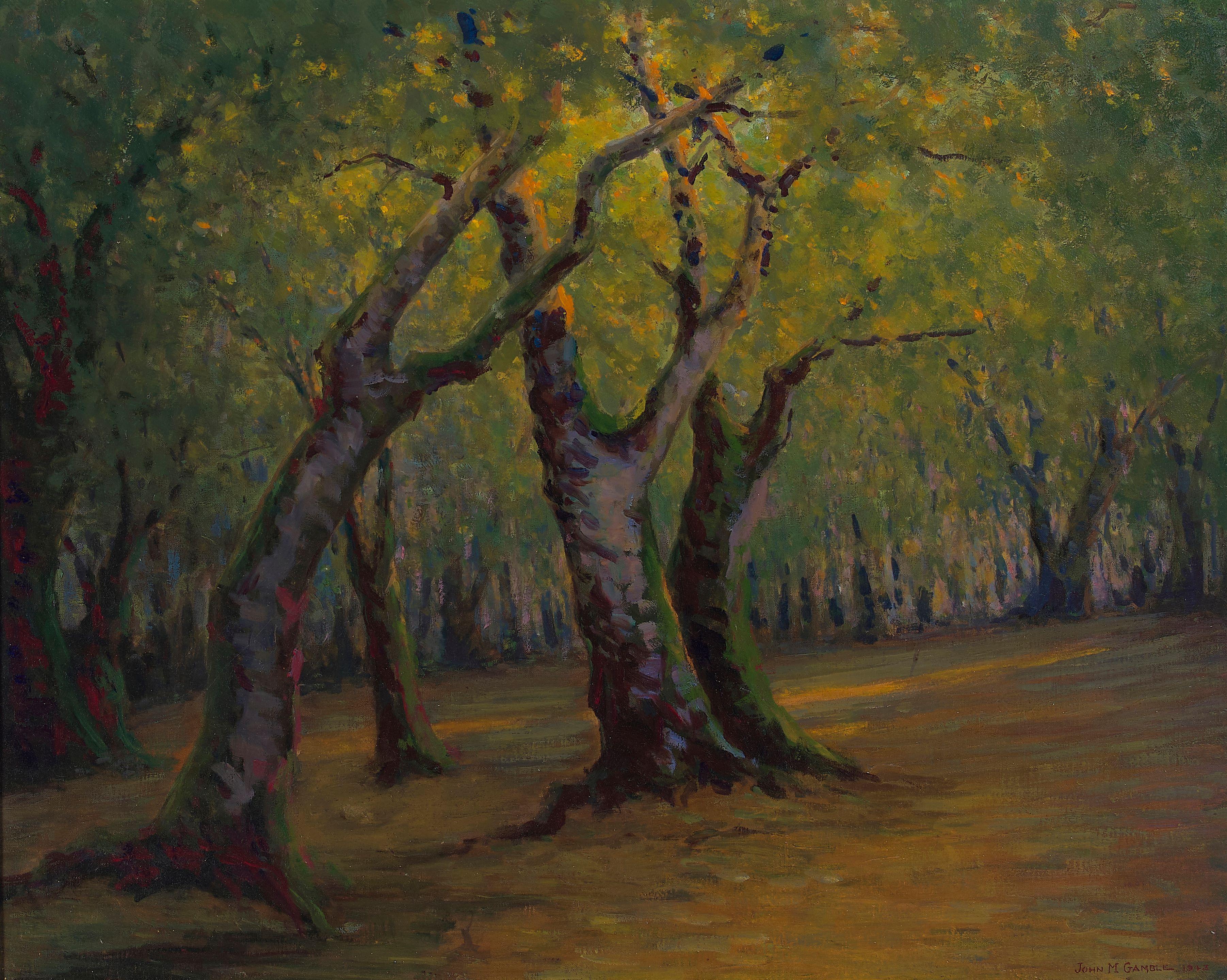John Marshall Gamble - Cañón Glade (Soft Maples)