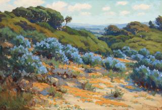 John Marshall Gamble - Lupine, Del Monte Dunes