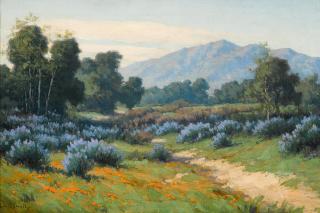 John Marshall Gamble - Valley with Poppies and Lupine