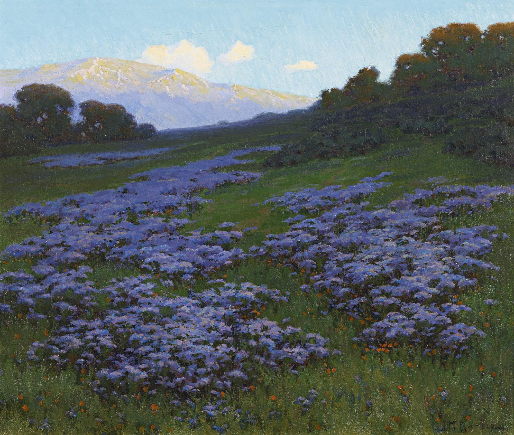 John Marshall Gamble - Wild Heliotrope