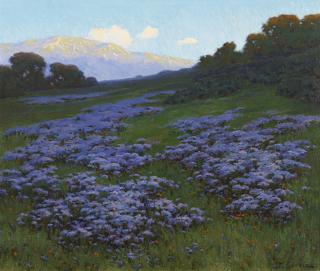 John Marshall Gamble - Wild Heliotrope