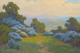 John Marshall Gamble - Wild Lilac and Poppies