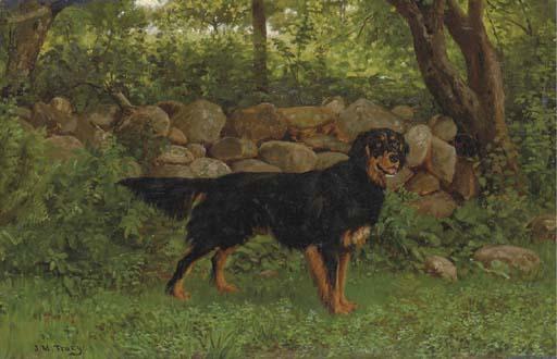John Martin Tracy - A Gordon Setter by a wood