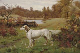John Martin Tracy - A Marbled Beauty - An English Setter in a landscape, a lake beyond
