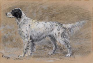 John Martin Tracy - A Setter