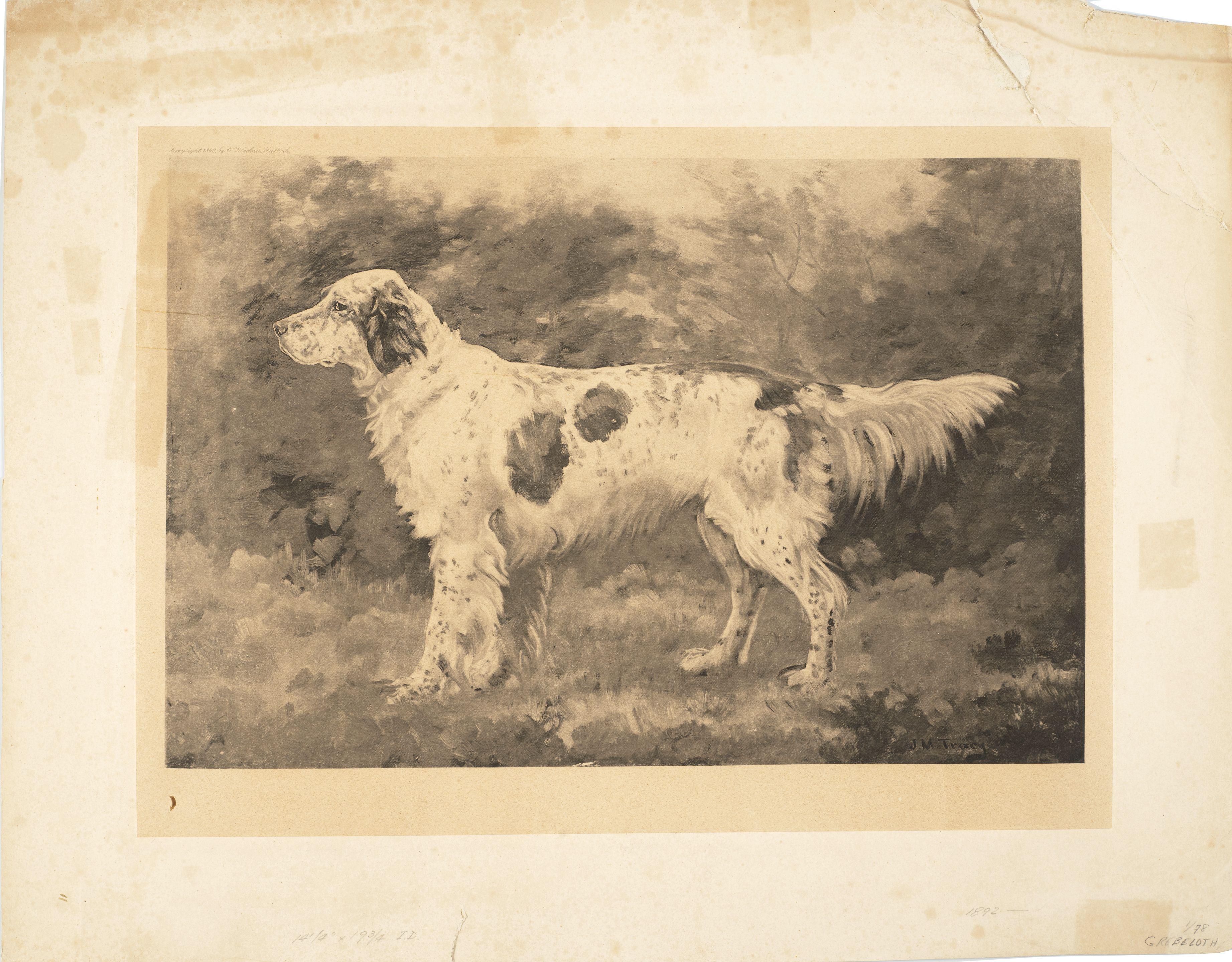 John Martin Tracy - Grebeloth; two untitled head studies (3) the largest 20 1/2 x 16 1/2in. (52 x 42cm.)