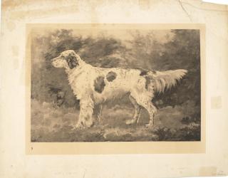 John Martin Tracy - Grebeloth; two untitled head studies (3) the largest 20 1/2 x 16 1/2in. (52 x 42cm.)