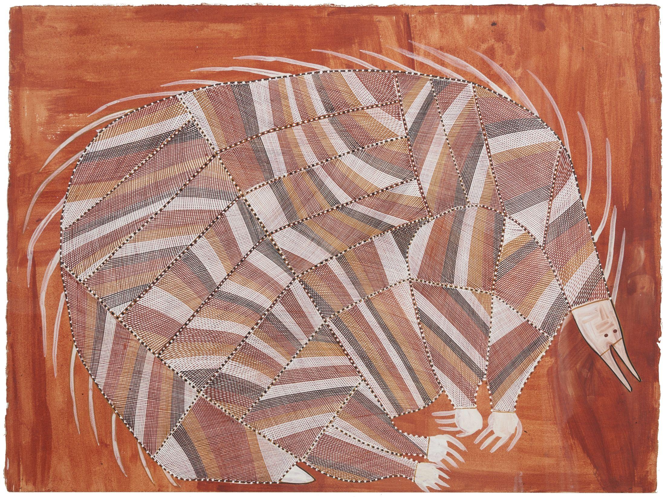 John Mawurndjul - Echidna