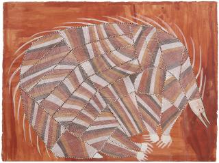 John Mawurndjul - Echidna