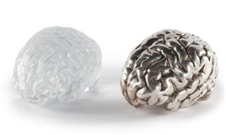 John Michael Armleder - Loasaceae double