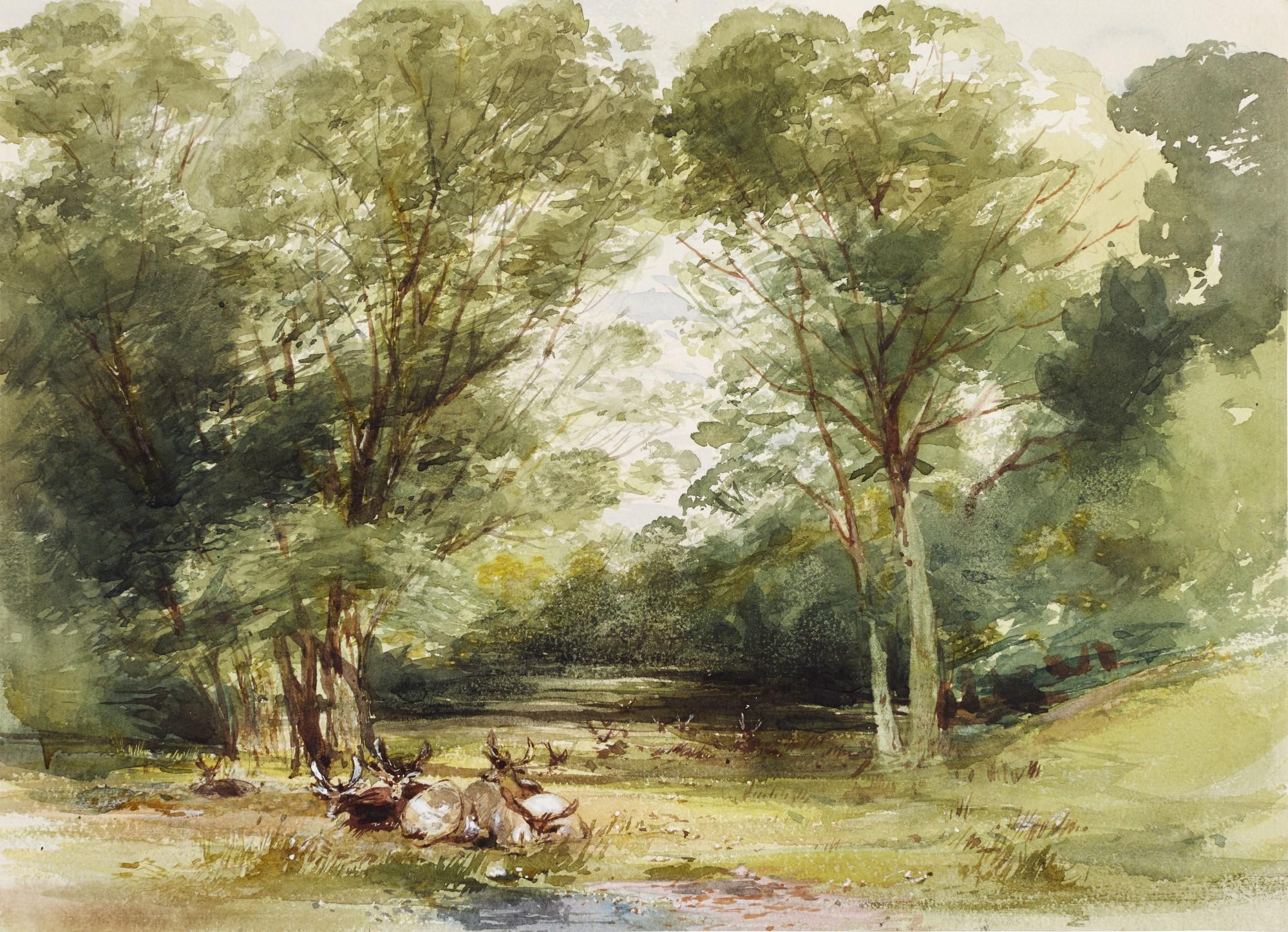 John Middleton - Deer in a forest glade