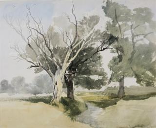 John Middleton - Trees By A Stream