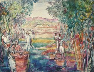 John Minton - Harvesting Cocoa, Jamaica