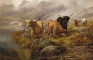 John Morris - Highland cattle in a mountainous loch landscape
