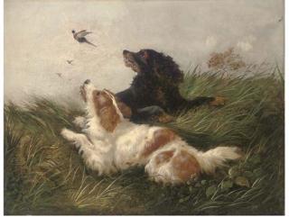 John Morris - Spaniels Flushing Pheasants