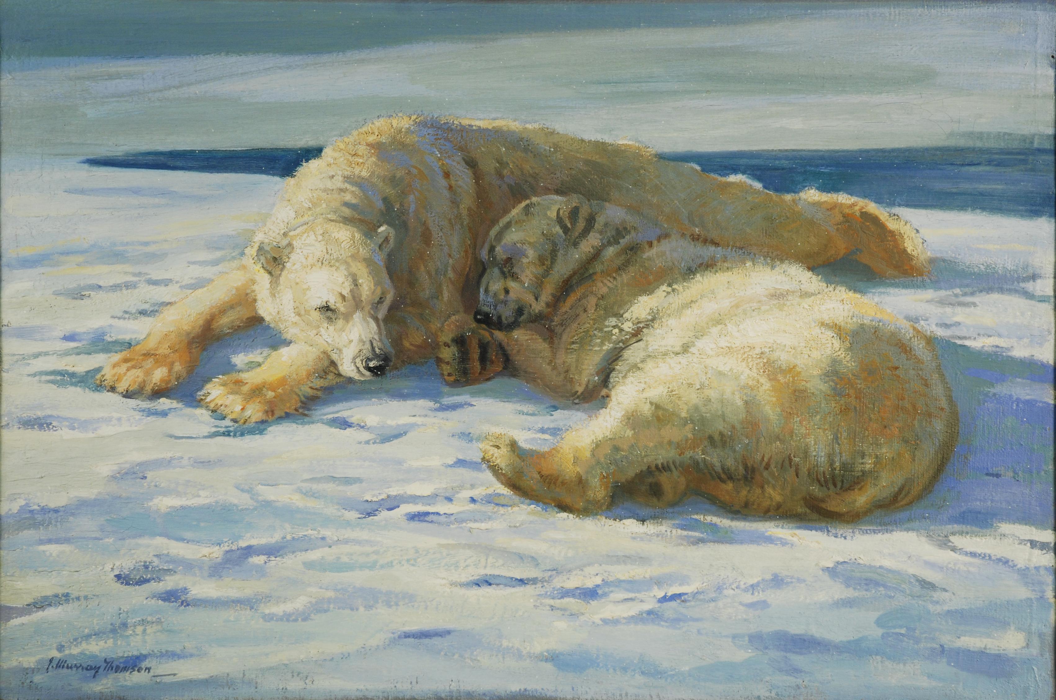 John Murray Thomson - Orsi polari