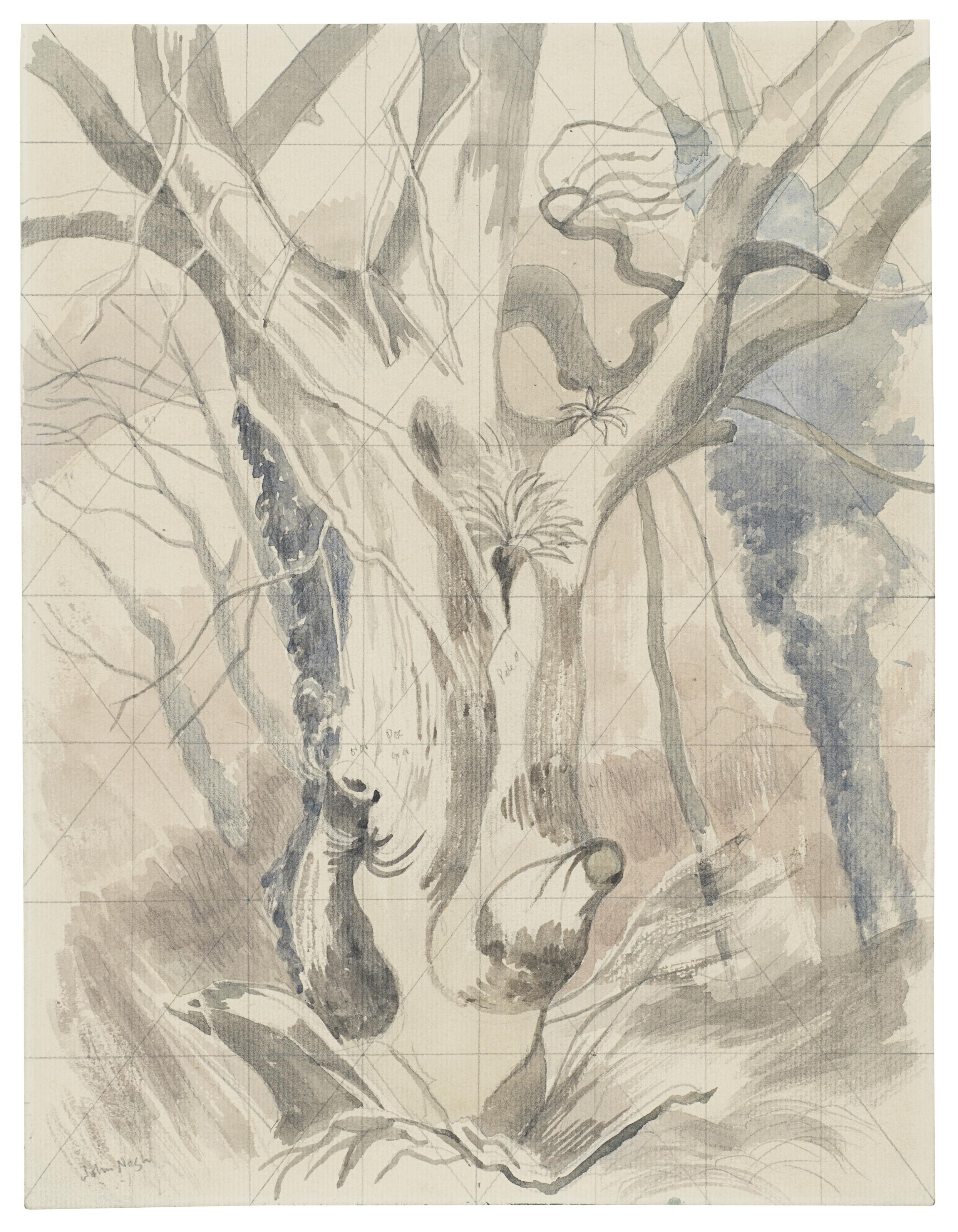 John Nash, R.A. - The dead ash tree, a study for Dead Forest Giant