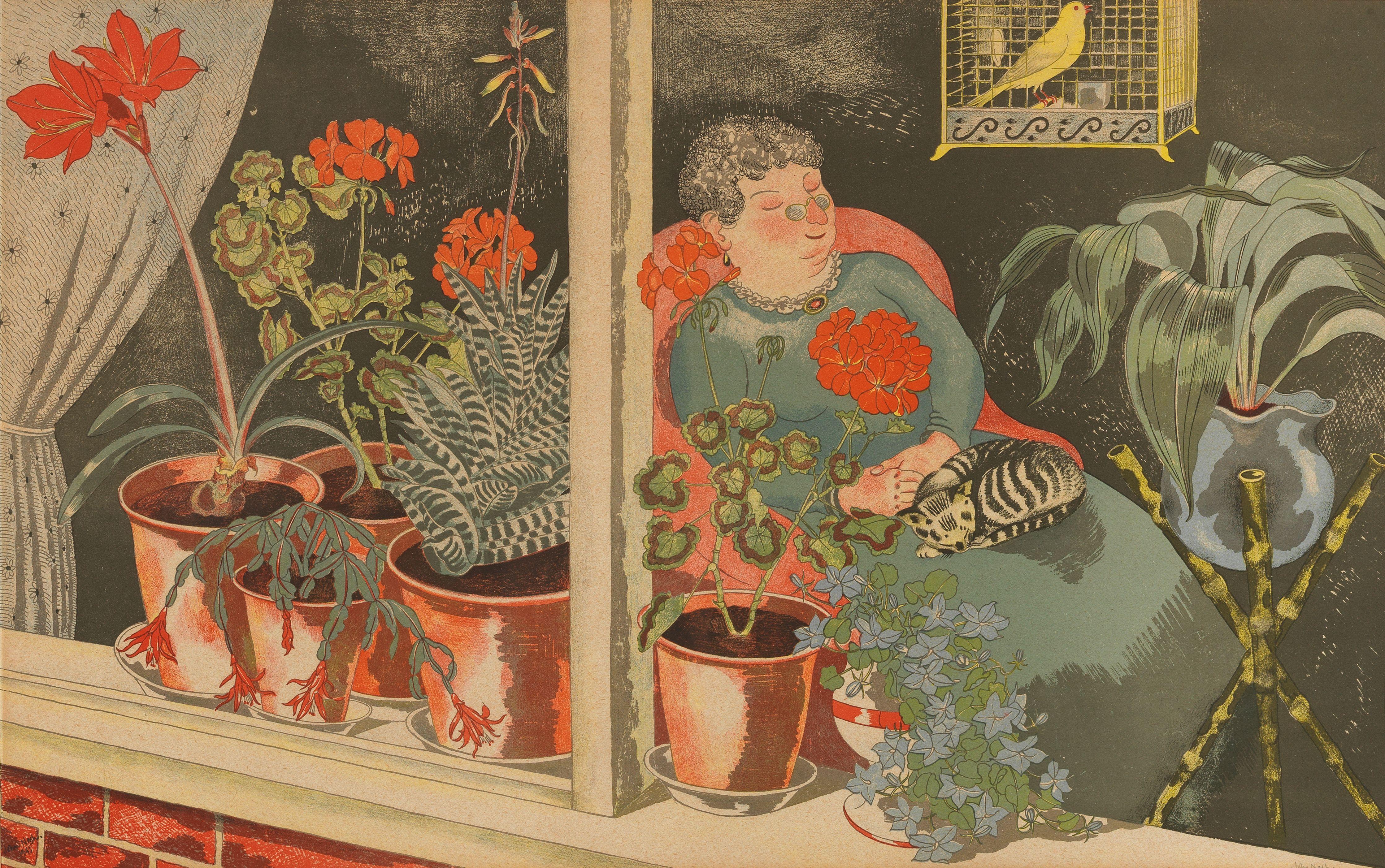John Nash R.A. - Window Plants, from School Prints, 1945