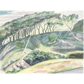 John Nash R.A. - Wooded Landscape