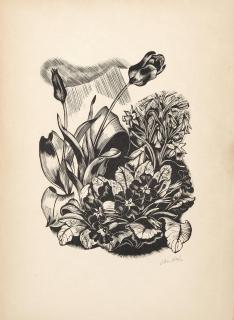 John Northcote Nash R.A. - Spring; Summer; Autumn; Winter, from \'Flowers and Faces\'