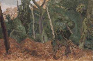 John Northcote Nash, R.A. - Staverton Thicks