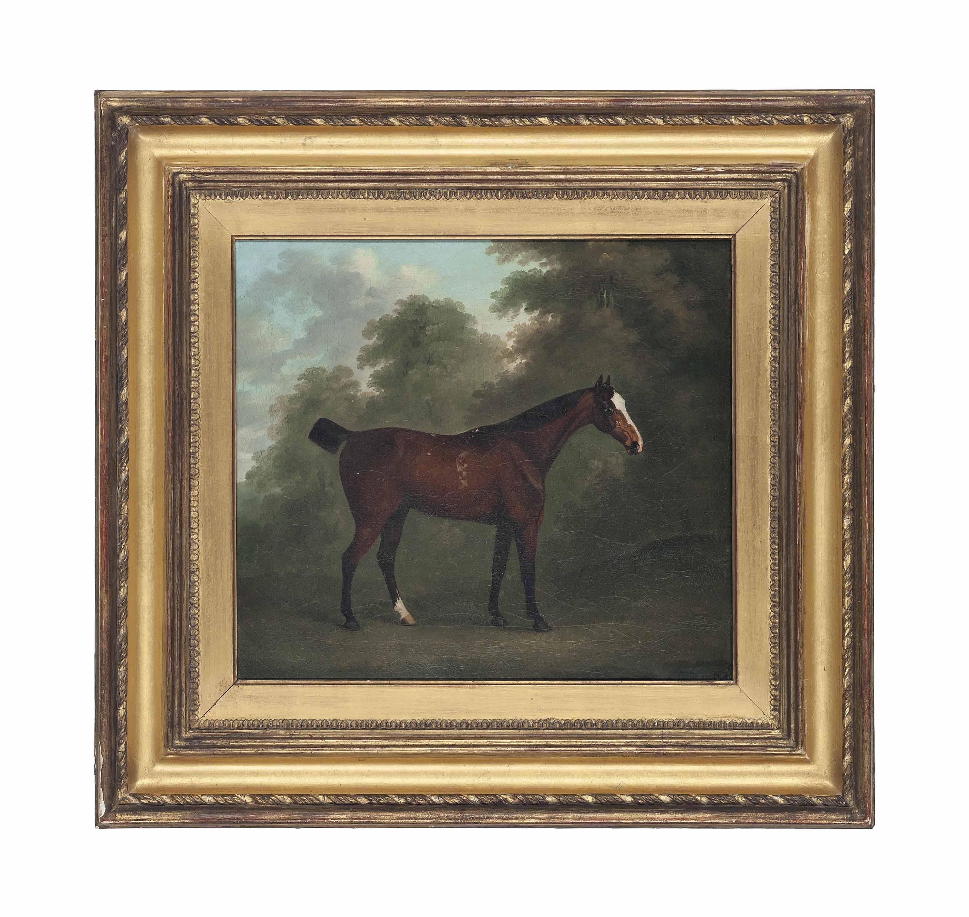 John Nost Sartorius - A Bay Horse In A Wooded Landscape