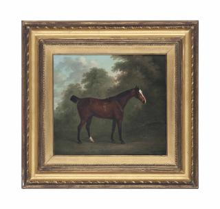 John Nost Sartorius - A Bay Horse In A Wooded Landscape