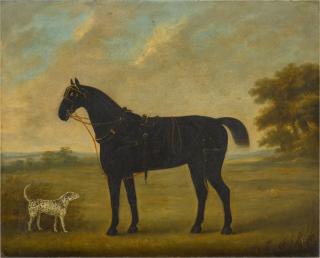 John Nost Sartorius - A carriage horse with a dalmatian in a landscape