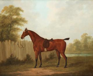 John Nost Sartorius - Standing horse