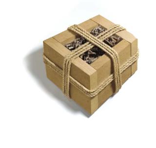 John Okulick - Ceremonial Box