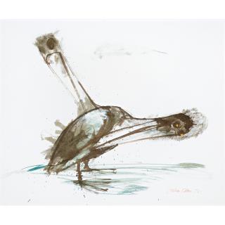 John Olsen - Australian Pelican