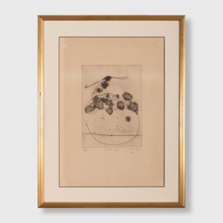 John Olsen - Avocet and Leaf, 1976 (sheet)