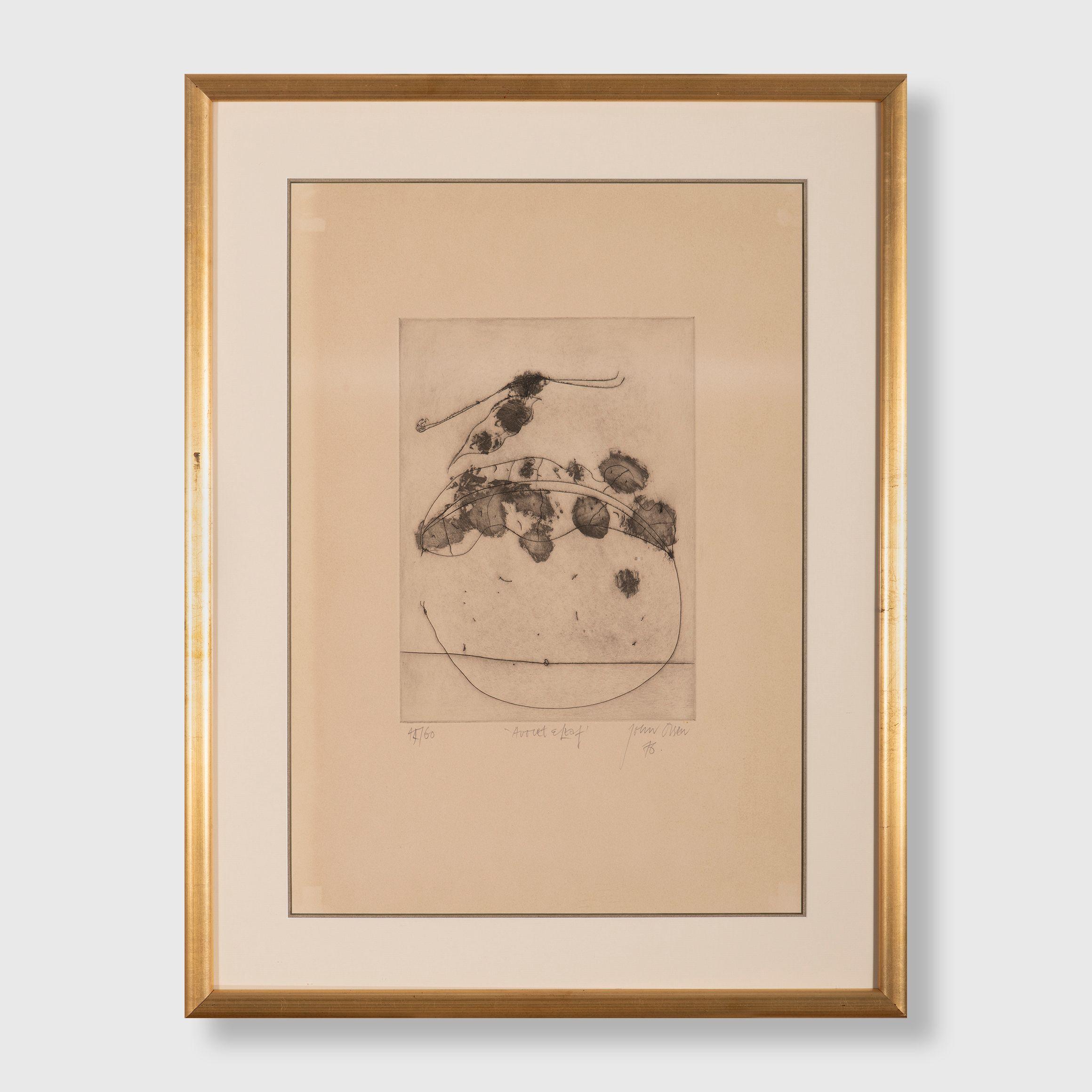 John Olsen - Avocet and Leaf, 1976 (sheet)