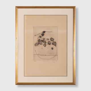 John Olsen - Avocet and Leaf, 1976 (sheet)