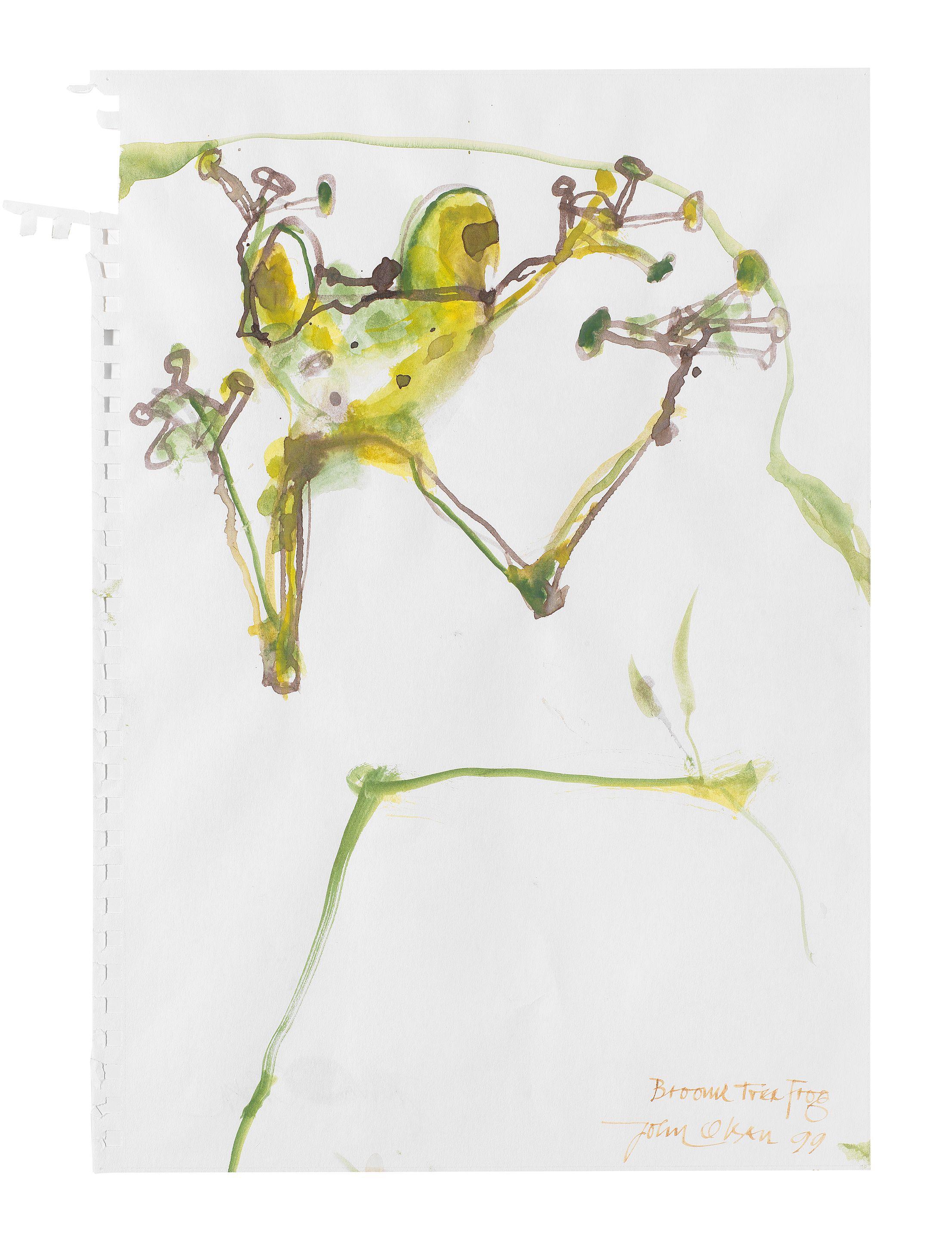 John Olsen - Broome Tree Frog, 1999