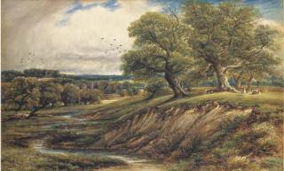 John Orrock - Bradgate Park, Leicestershire