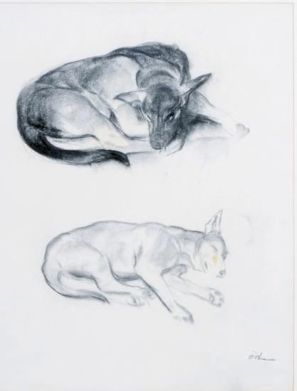 John O\'Shea - Two Dogs Sleeping