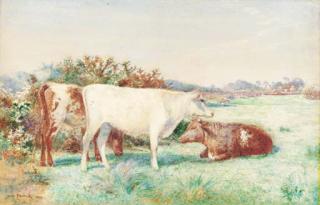 John Pedder - Cattle in a meadow