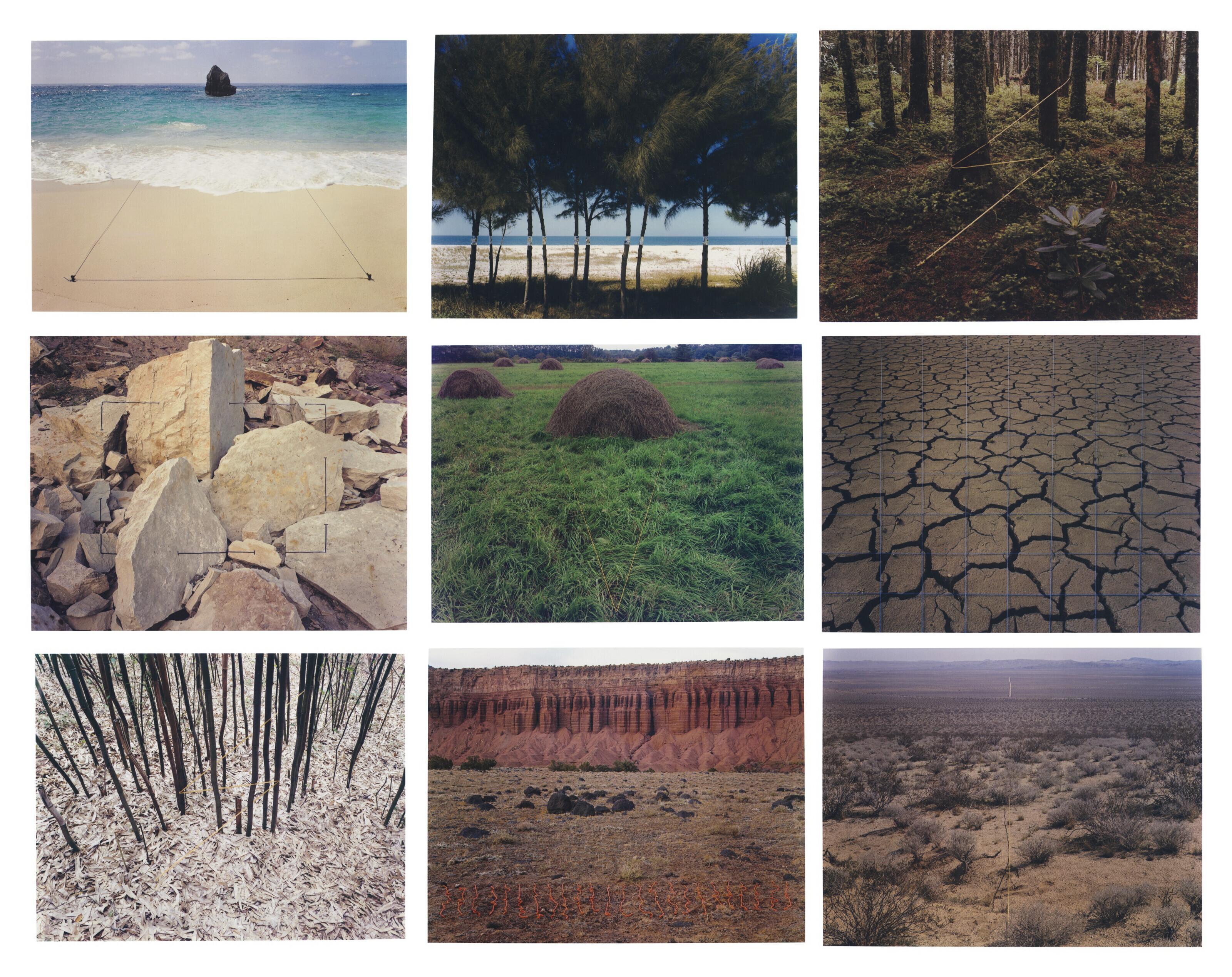 John Pfahl - Altered Landscapes: The Photographs of John Pfahl